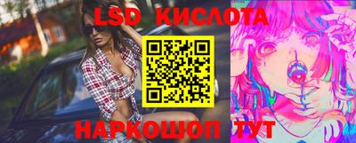 прущие крисы Партизанск