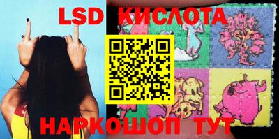 прущие крисы Партизанск