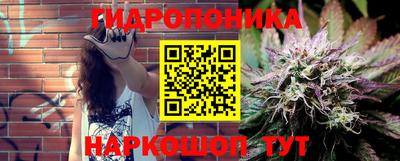 гидра Пенза