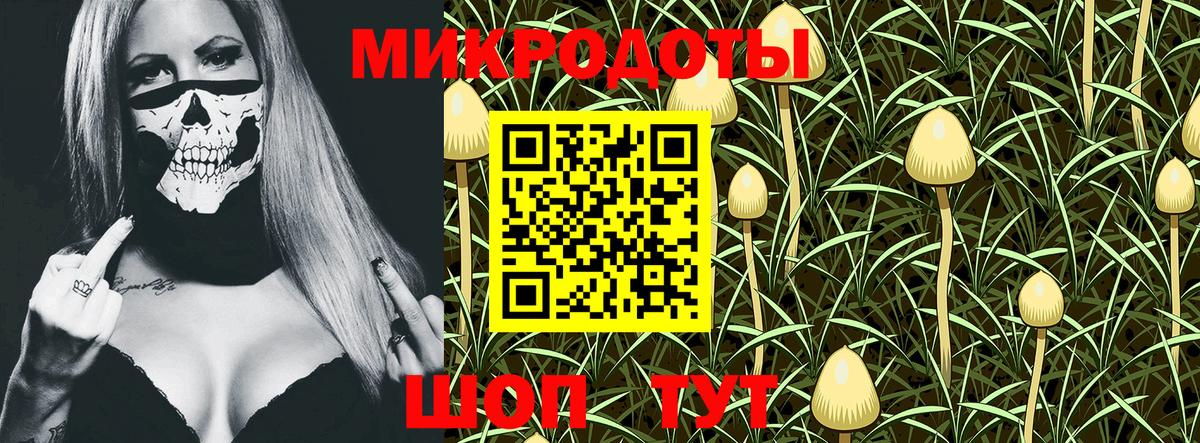 Псилоцибиновые грибы прущие грибы Севастополь