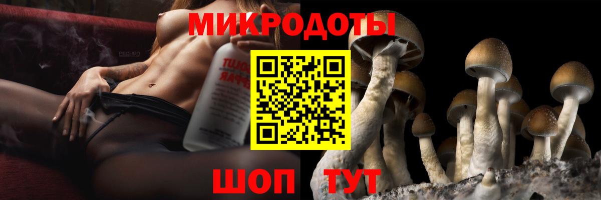 Галлюциногенные грибы Psilocybe  Вход с VPN  Севастополь 